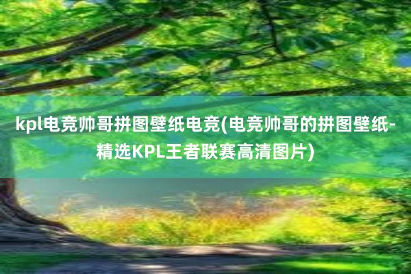 kpl电竞帅哥拼图壁纸电竞(电竞帅哥的拼图壁纸-精选KPL王者联赛高清图片)