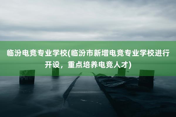 临汾电竞专业学校(临汾市新增电竞专业学校进行开设，重点培养电竞人才)