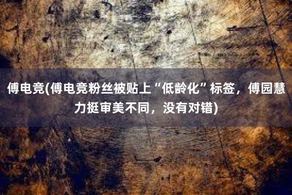 傅电竞(傅电竞粉丝被贴上“低龄化”标签，傅园慧力挺审美不同，没有对错)