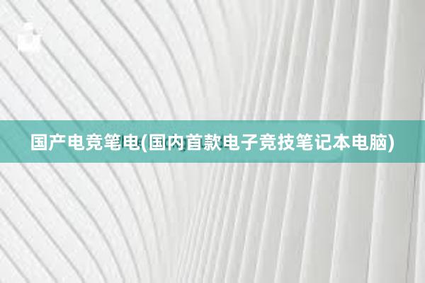 国产电竞笔电(国内首款电子竞技笔记本电脑)