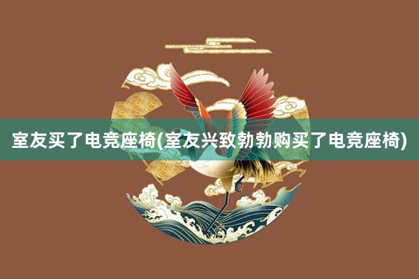 室友买了电竞座椅(室友兴致勃勃购买了电竞座椅)