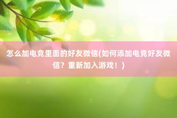 怎么加电竞里面的好友微信(如何添加电竞好友微信？重新加入游戏！)