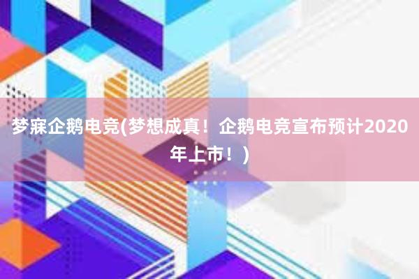 梦寐企鹅电竞(梦想成真！企鹅电竞宣布预计2020年上市！)