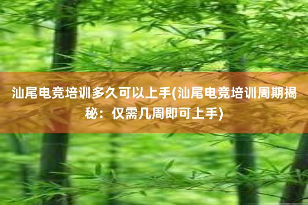 汕尾电竞培训多久可以上手(汕尾电竞培训周期揭秘：仅需几周即可上手)