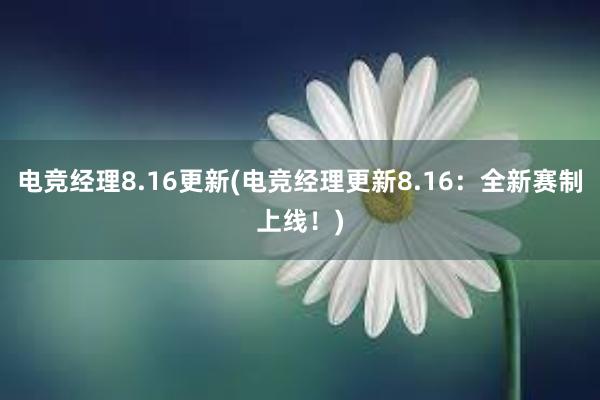 电竞经理8.16更新(电竞经理更新8.16：全新赛制上线！)