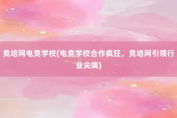 竞培网电竞学校(电竞学校合作疯狂，竞培网引领行业尖端)