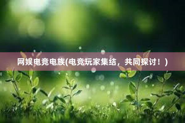 网娱电竞电族(电竞玩家集结，共同探讨！)