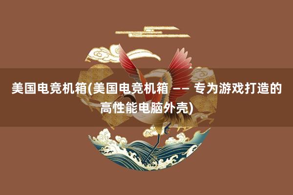 美国电竞机箱(美国电竞机箱 —— 专为游戏打造的高性能电脑外壳)