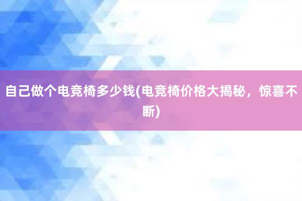 自己做个电竞椅多少钱(电竞椅价格大揭秘，惊喜不断)