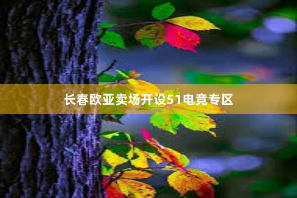 长春欧亚卖场开设51电竞专区