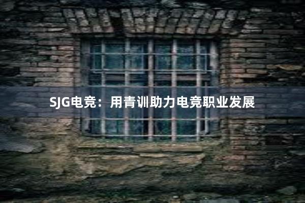 SJG电竞：用青训助力电竞职业发展