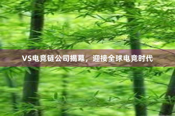 VS电竞链公司揭幕，迎接全球电竞时代