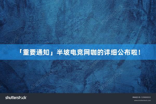 「重要通知」半坡电竞网咖的详细公布啦！