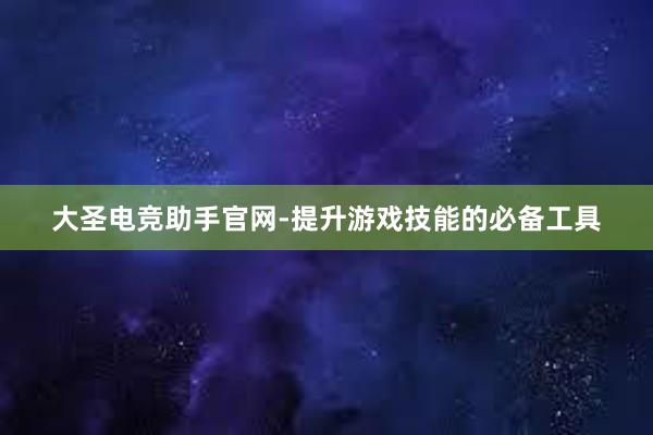 大圣电竞助手官网-提升游戏技能的必备工具