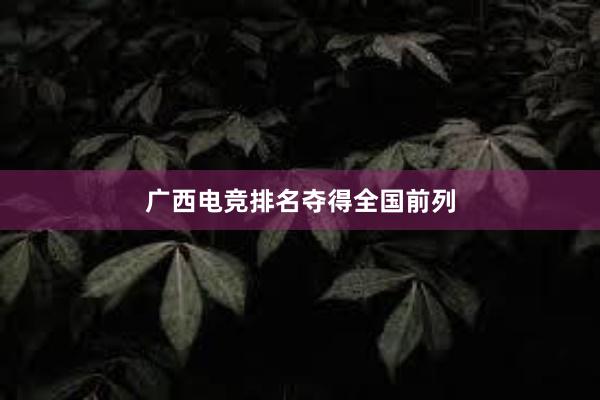 广西电竞排名夺得全国前列