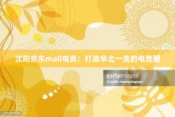 沈阳京东mall电竞：打造华北一流的电竞圈