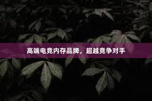 高端电竞内存品牌，超越竞争对手