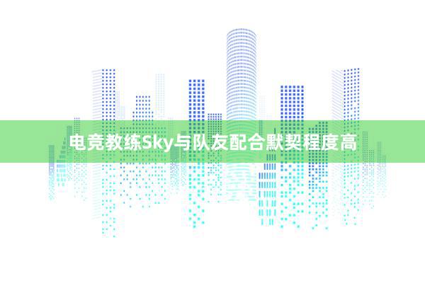 电竞教练Sky与队友配合默契程度高