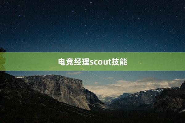 电竞经理scout技能