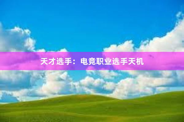 天才选手：电竞职业选手天机